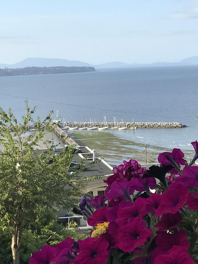 Donna's Bed&Breakfast White Rock Exteriör bild